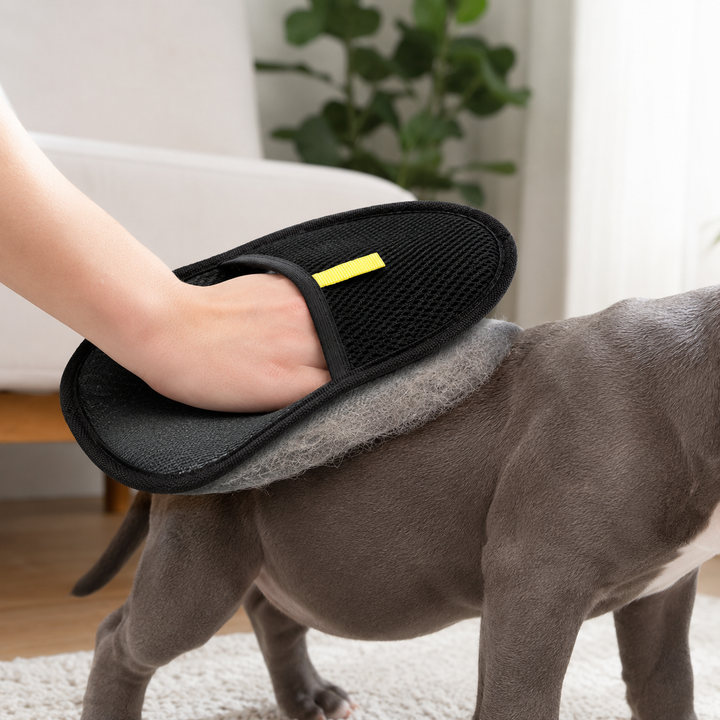 FurHug Grooming Glove