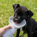 TrailSip Pet Water Bottle product photo